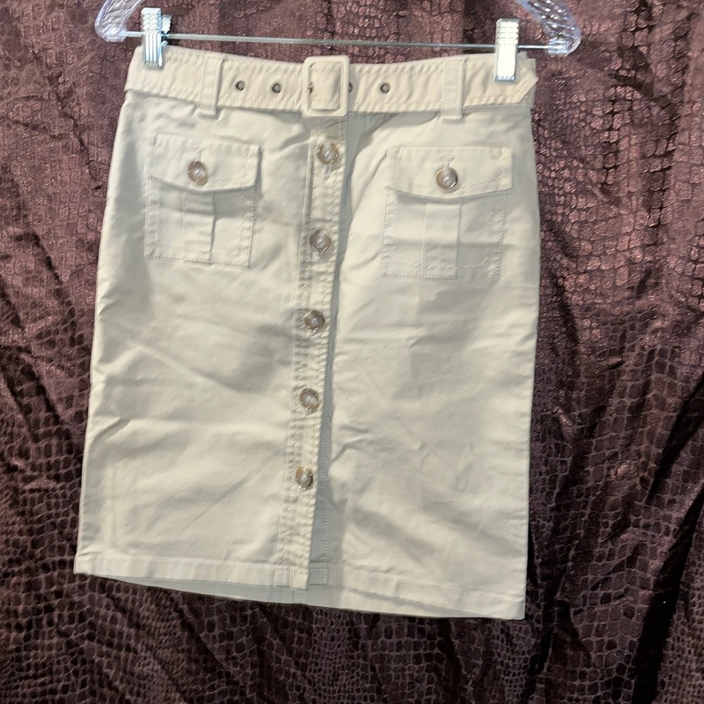 Ann Taylor Skirt